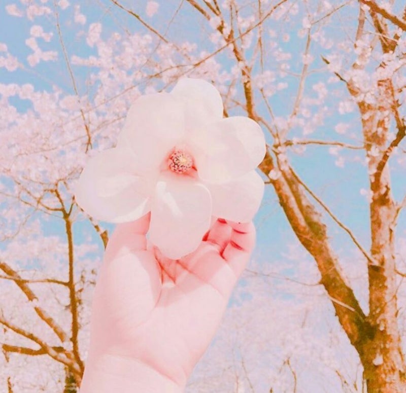 정연블로그