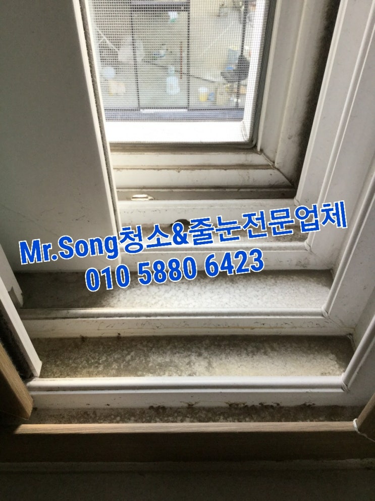  양산청소업체//Mr.Song청소&줄눈//양산석산상가주택2층20평이사청소