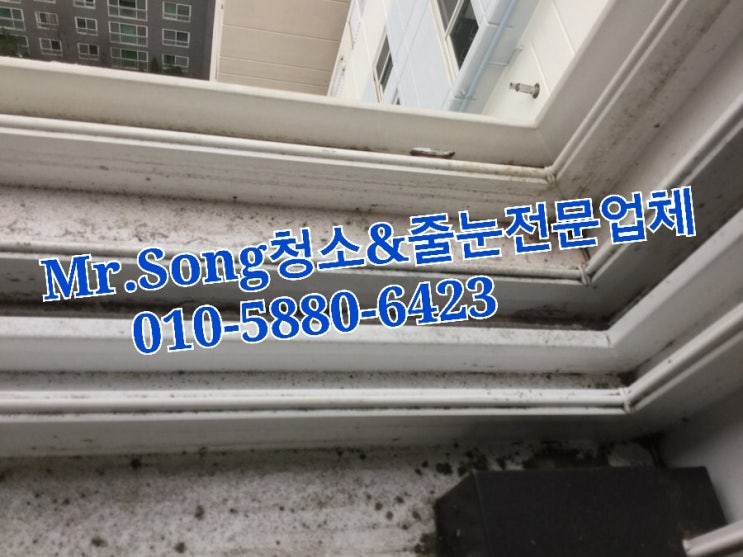  양산청소업체//Mr.Song청소&줄눈//양산물금동일스위트25평이사청소