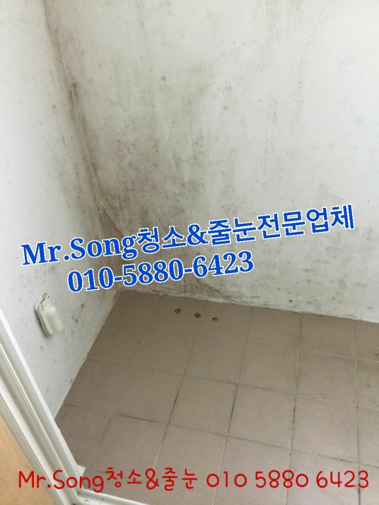  양산청소업체//Mr.Song청소&줄눈//양산주공8단지24평이사청소