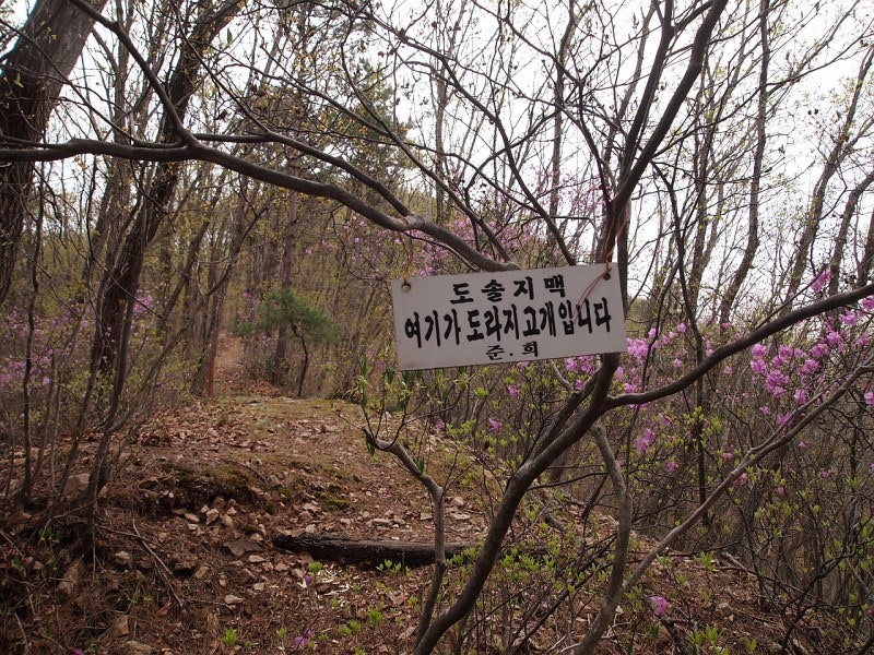장막골 사진 6