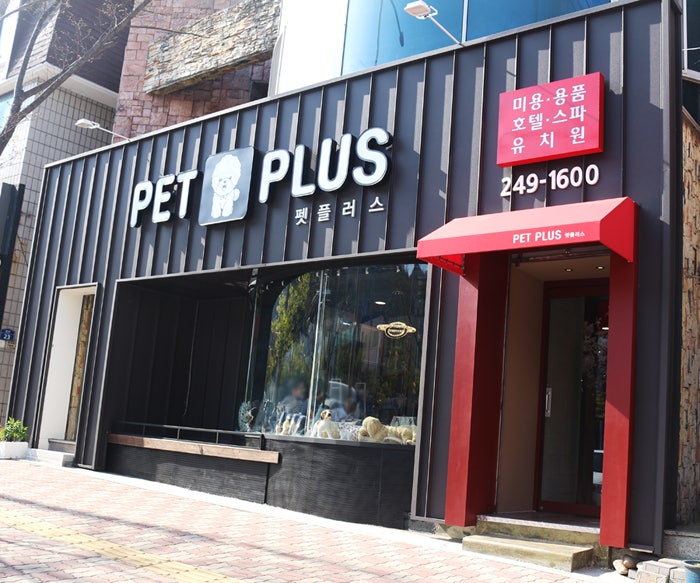 사진 4