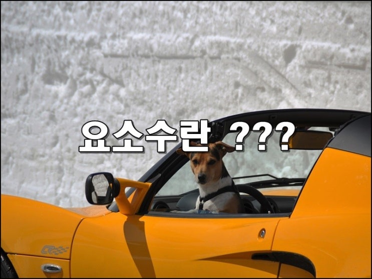  자동차 요소수 란?