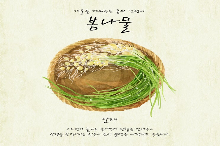  춘곤증을 이기는 데 으뜸인 달래!