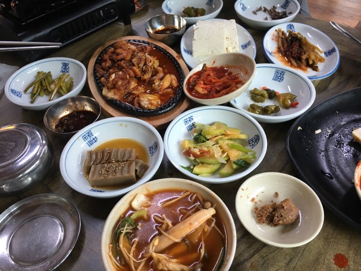  아침고요 수목원 봄나들이