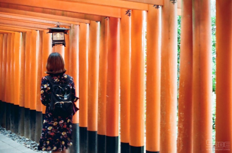 [일본 교토여행] 끊없이 펼쳐진 도리이가 아름다운, 후시미이나리 신사