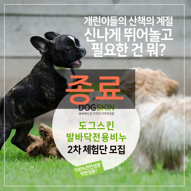  도그스킨 발바닥전용비누 습진용/일반용 체험단 모집(종료)