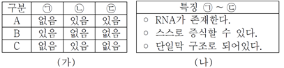  02. 세포 소기관 특징 / 리보솜, 골지체, 엽록체
