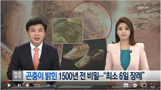 곤충이 밝힌 1500년 전 비밀…‘최소 6일 장례’ - KBS뉴스 곤충이 밝힌 1500년 전 비밀…‘최소 6일 장례’ - KBS뉴스