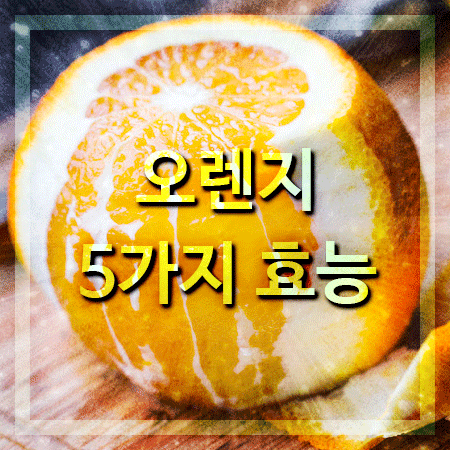  오렌지 효능 5가지 알아볼게요~