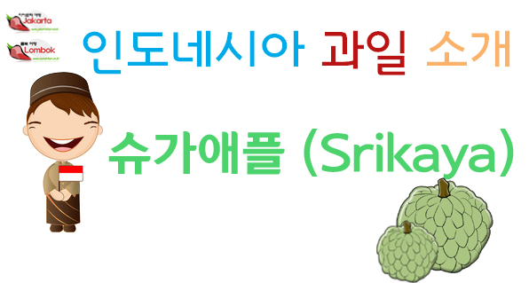  롬복 신혼여행 열대 과일 <슈거애플,Srikaya>