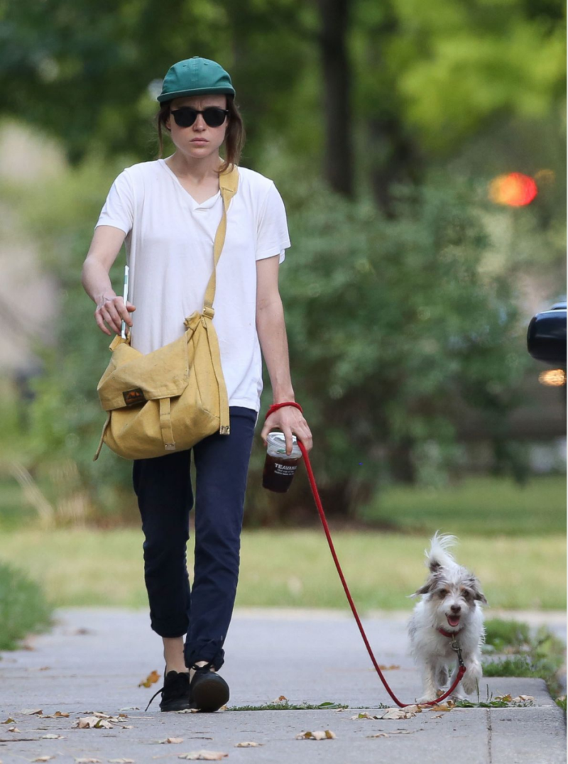 서로의 결혼식에 참석했던 유명인들 : r/popculturechat, image size:800x1076