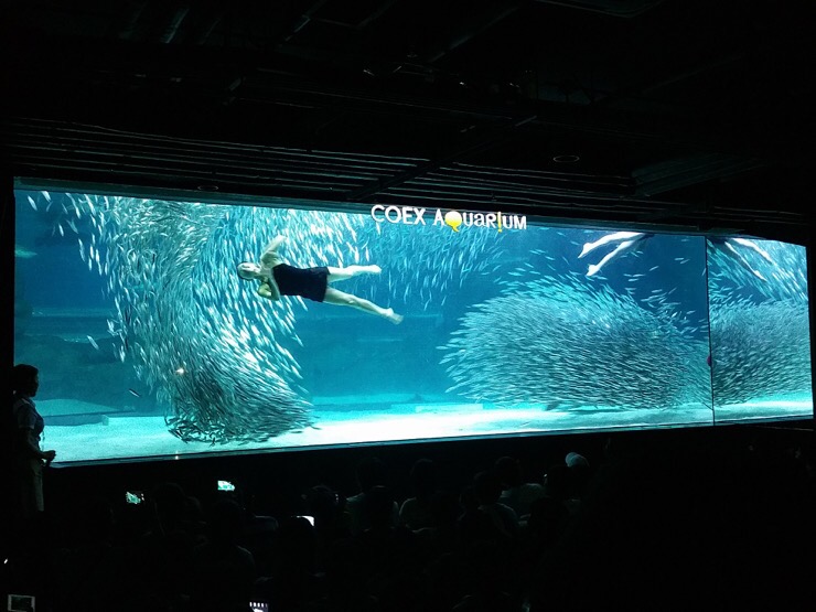  코엑스 아쿠아리움 장마철 데이트 코스