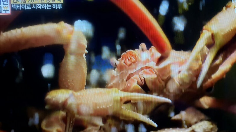 (123회)서민갑부:김봉철속초대게갑부:입맛부터마음까지홀리는마성의대게#속초게찜본점