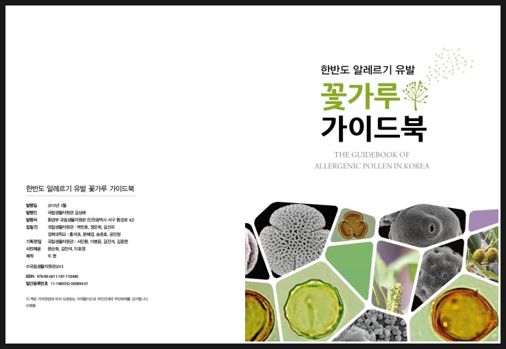 중국 꽃가루의 스케일(?)