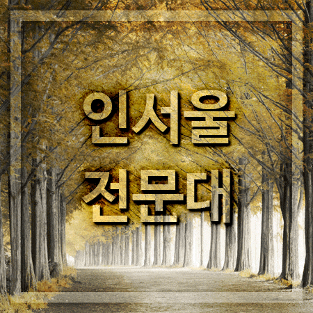  인서울 전문대 전공별로 확인해요!
