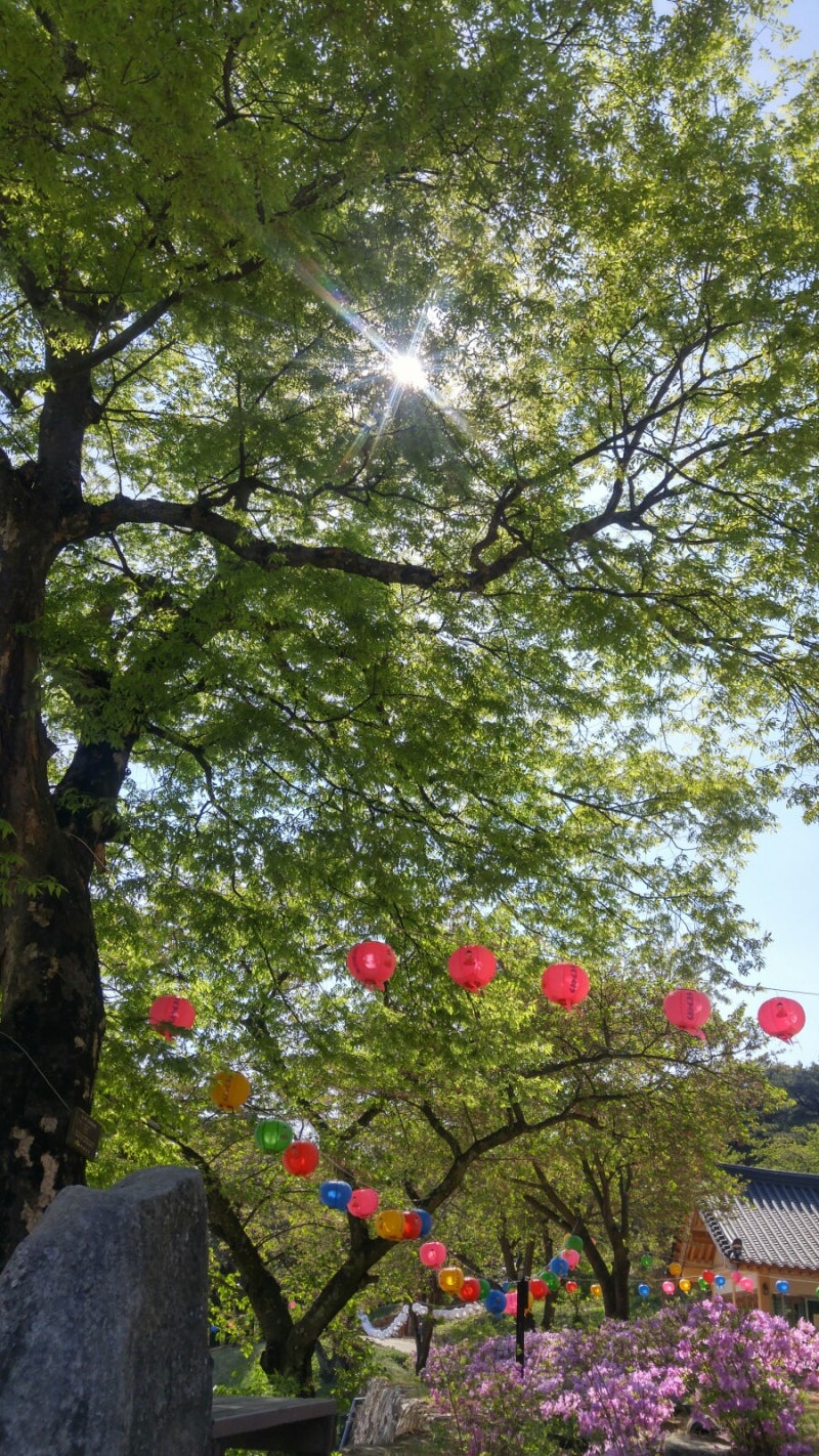 의성 운람사 평온하고 이쁜 절... : 네이버 블로그