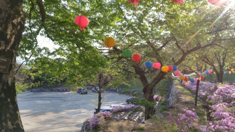 의성 운람사 평온하고 이쁜 절... : 네이버 블로그