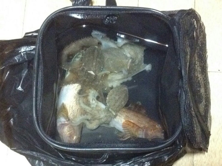  진해 마산쪽 방파제