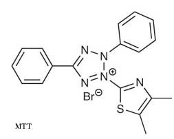  Cell viability assays : tetrazolium salts