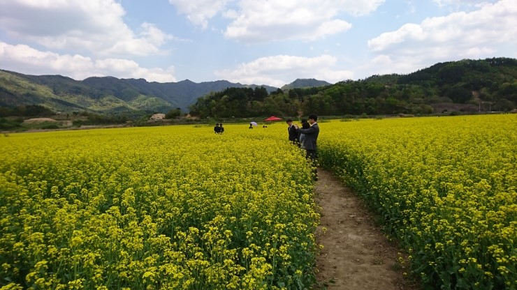 진안 배넘실마을에 들려 꽃잔디동산으로!