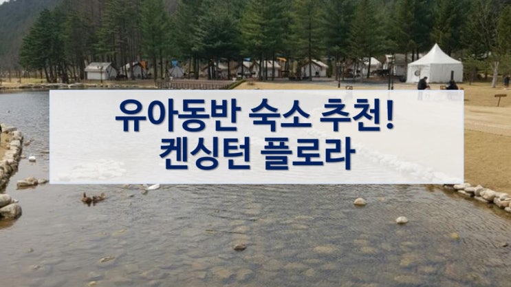  유아 동반으로 가기 좋은 숙소 평창 켄싱턴 플로라 호텔