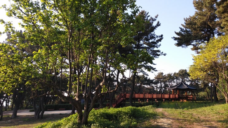 대왕암공원 미로원 전경과 파고라 및 데크로드 정자 풍경 대왕암공원 미로원 전경과 파고라 및 데크로드 정자 풍경