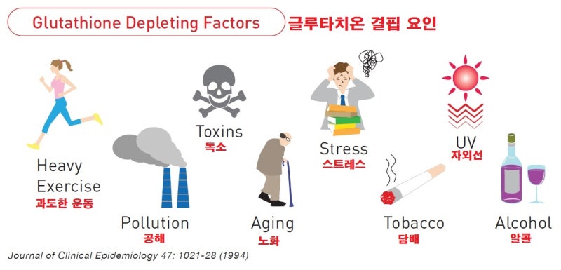 글루타치온(Glutathione: GSH): 인체의 자연적인 항산화 성분 : 네이버 블로그