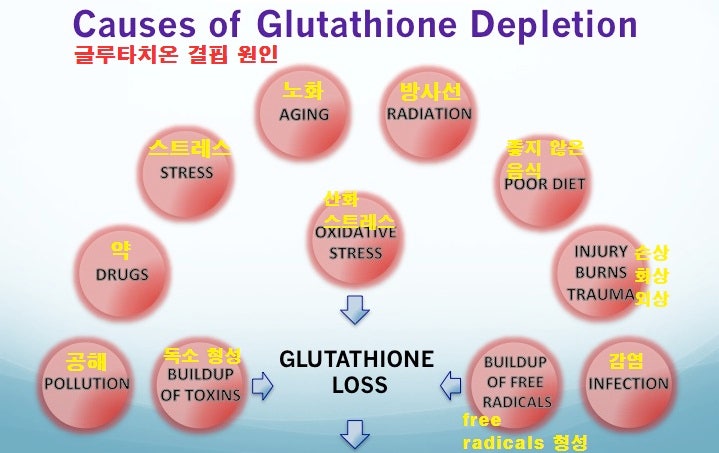 (Glutathione: GSH):     :