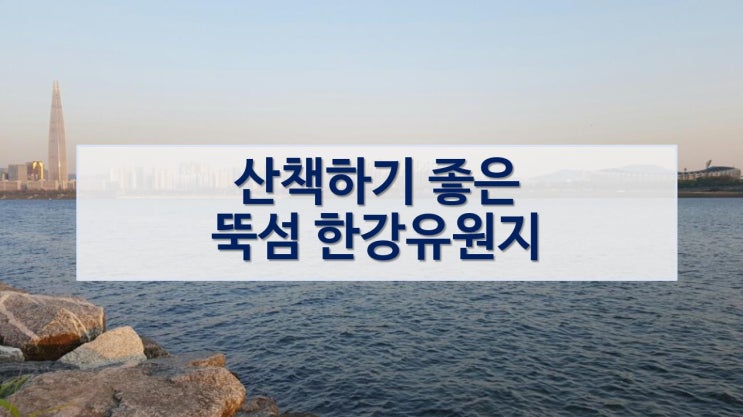  미세먼지 없는 맑은 날 뚝섬 한강유원지 풍경