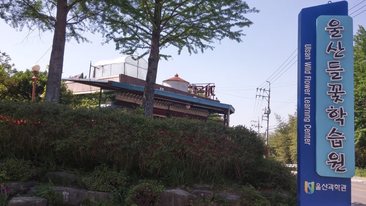 울산 가볼만한 곳 폐교를 활용한 울산 들꽃 학습원 체험교실 울산 가볼만한 곳 폐교를 활용한 울산 들꽃 학습원 체험교실