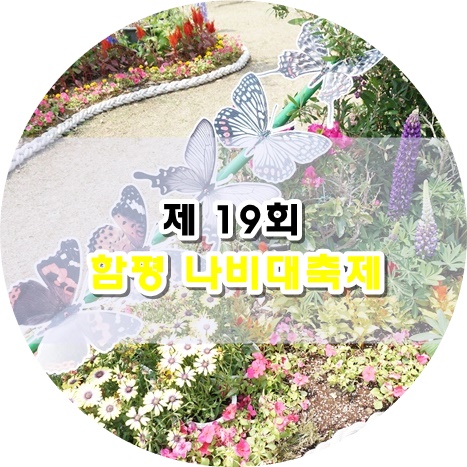  함평 나비축제, 5월 전라남도 축제 생생후기 !