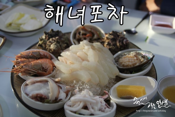  [종각역 맛집] 종로 숙성회가 맛나는 해녀포차