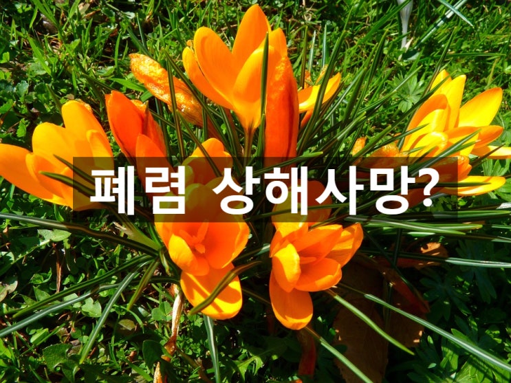 폐렴 사망에 대한 보험금 문제!!