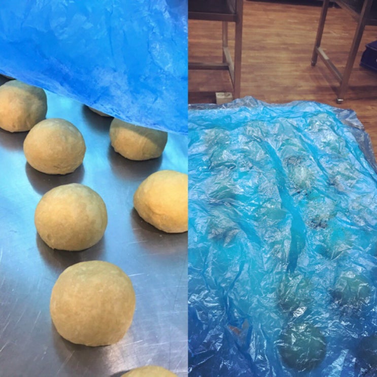  커피번 만들기(제빵기능사 실기)