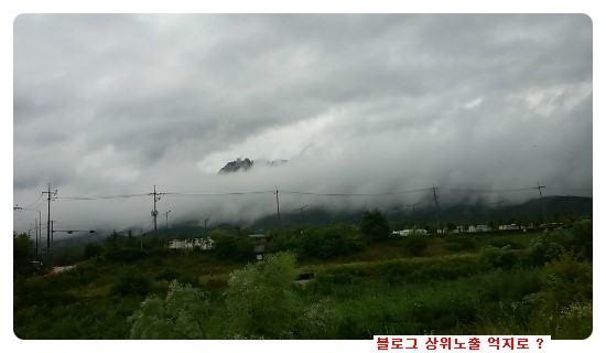  블로그 상위노출 억지로 할려고?