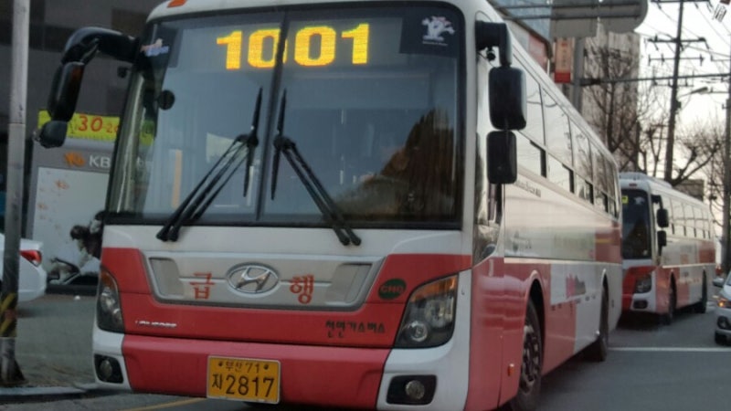 부산 급행 시내버스 1001번 노선 하단 동아대학교~ 청강리 : 네이버 블로그 부산 급행 시내버스 1001번 노선 하단 동아대학교~ 청강리 : 네이버 블로그