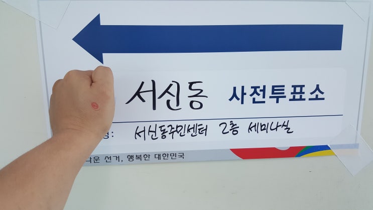 사전투표