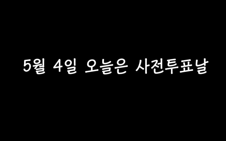  피규어 찍고 사전투표 찍고