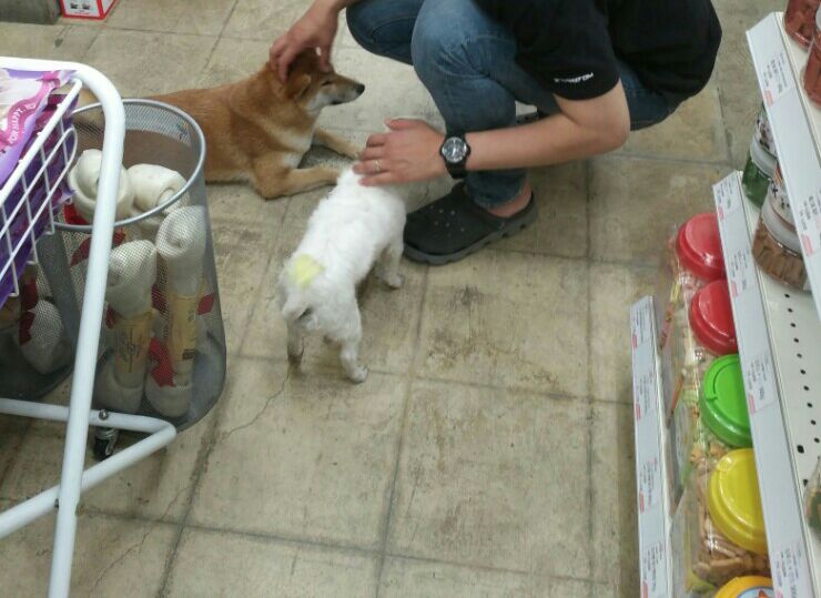 잠이 안와 하는 사진 털기 잠이 안와 하는 사진 털기