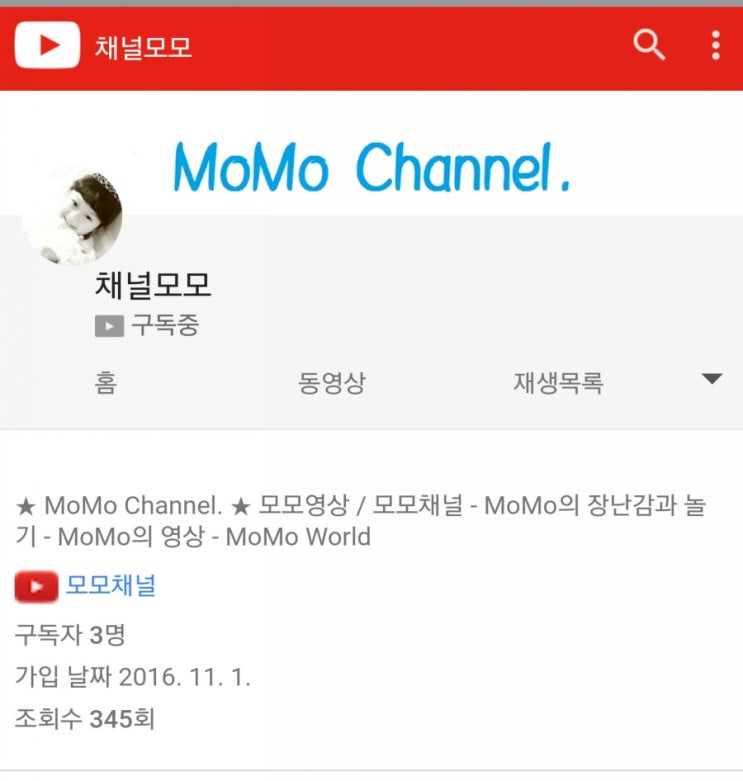  모모의 유투브(YouTube) 채널