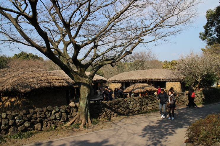  제주 여행 가볼만한 곳 제주 표선 민속촌