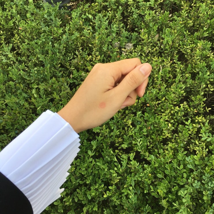  안산 초지동사무소에서 대선 사전투표 하고왔어요~