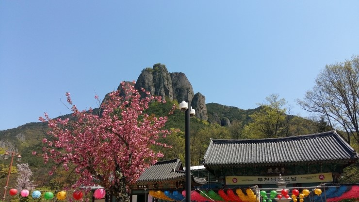  울진대게,주왕산,영덕해맞이공원,강구항,