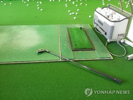 연습장서 골프채에 맞아 코뼈 골절…'20% 본인 책임' 연습장서 골프채에 맞아 코뼈 골절…'20% 본인 책임'