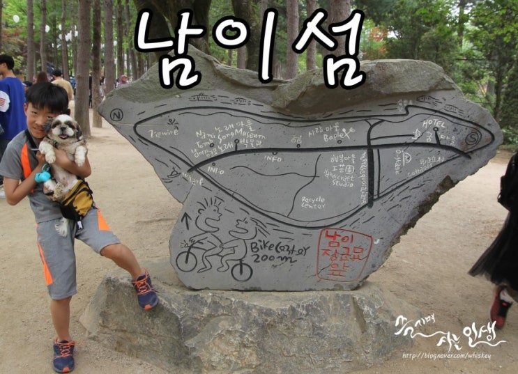  [애견 동반 여행] 서울 근교 애견 동반 나들이 하기 좋은 남이섬