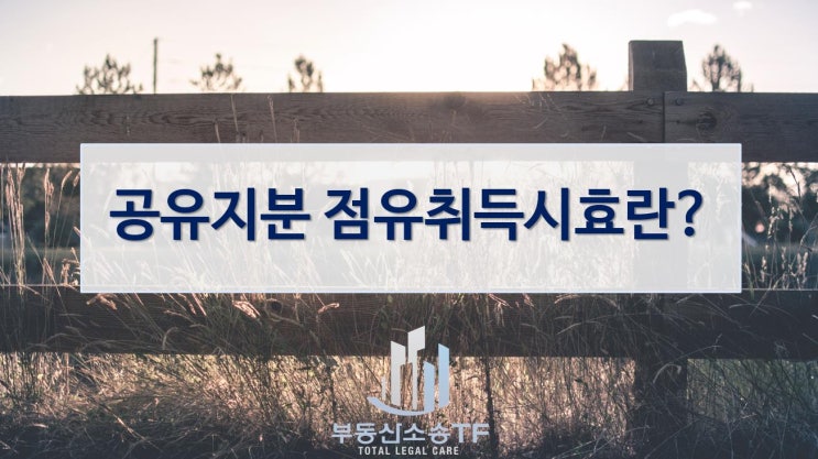  공유지분 점유취득시효 법리(法理)의 성립