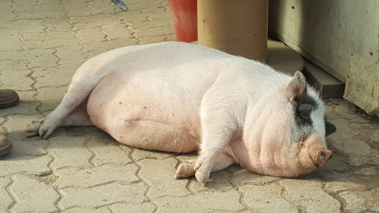  좋은분들과 즐거운 저녁식사 