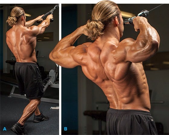 덤벨 슈러그(Dumbbell Shrugs) : 네이버 블로그 덤벨 슈러그(Dumbbell Shrugs) : 네이버 블로그