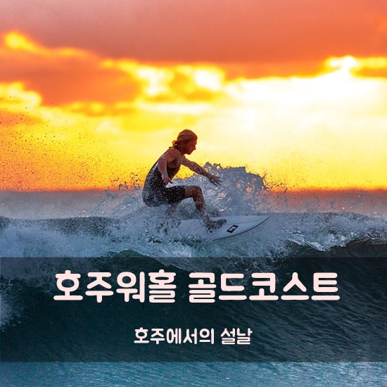  서른에 호주워홀 D+231 호주골드코스트 설날